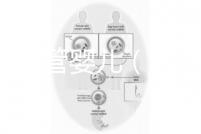 香港 試管嬰兒（香港試管嬰兒可以選擇性別么）