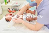 馬來西亞試管嬰兒28天？別聽他們瞎說，60天才是正常周期