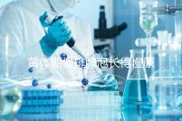 黃體期促排卵泡長得慢原因已找到！4種手段幫你解決