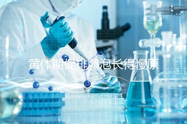 黃體期促排卵泡長得慢原因已找到!4種手段幫你解決