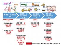 5bc囊胚移植后第六天測兩條杠要注意，第九天沒了不在少數