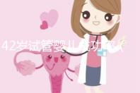 42歲試管嬰兒成功率（42歲試管嬰兒成功率有多少？）