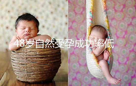 48歲自然受孕成功率低別擔心！提升懷孕的幾率僅需3招