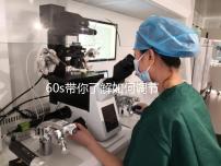 60s帶你了解如何調(diào)節(jié)凍胚移植前內(nèi)膜厚卵泡小，快速收集