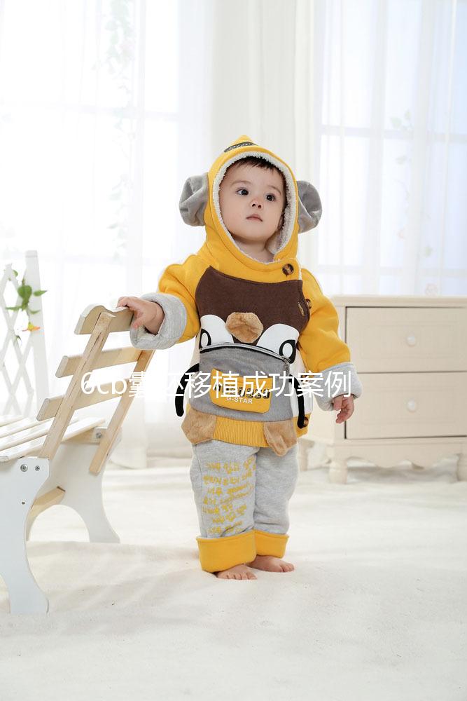 6cb囊胚移植成功案例并不少！過來人分享經驗帶你好孕