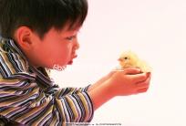 6ba囊胚好不好？醫生:調理好身體才是提升成功率的基礎