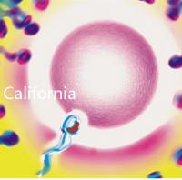 California Cryobank，加州精子銀行實用指南