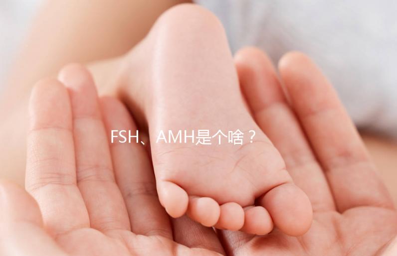 FSH、AMH是個(gè)啥？卵巢功能好不好看這些指標(biāo)！