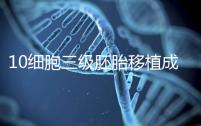 10細(xì)胞三級(jí)胚胎移植成功率多少看情況，身體好最快6天著床