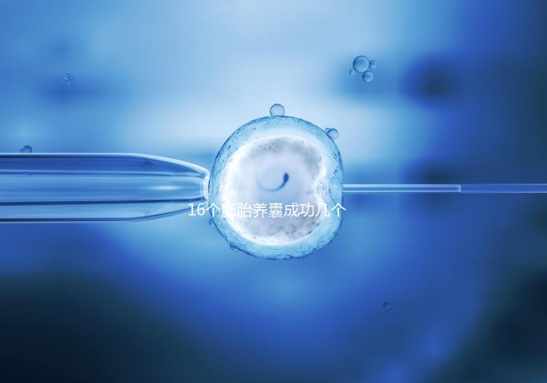 16個胚胎養(yǎng)囊成功幾個說不準(zhǔn)，11個概率高不高真不一定