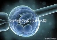 3分鐘告訴你，為什么同卵雙胞胎不會是龍鳳胎