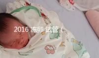 2016 凍卵 試管（凍卵試管成功率2021）