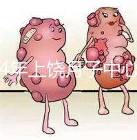 2024年上饒?jiān)伦又行膬r(jià)格出爐，想做哪個服務(wù)好，收費(fèi)低