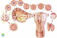 2024年六安男科醫院排名發布，裕安哪個好文件告訴答案