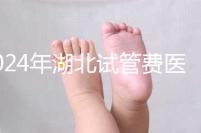 2024年湖北試管費醫(yī)療保險可以報銷？專家：時間還沒到？