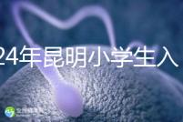 2024年昆明小學生入學政策出臺，五華區(qū)年齡限制重點