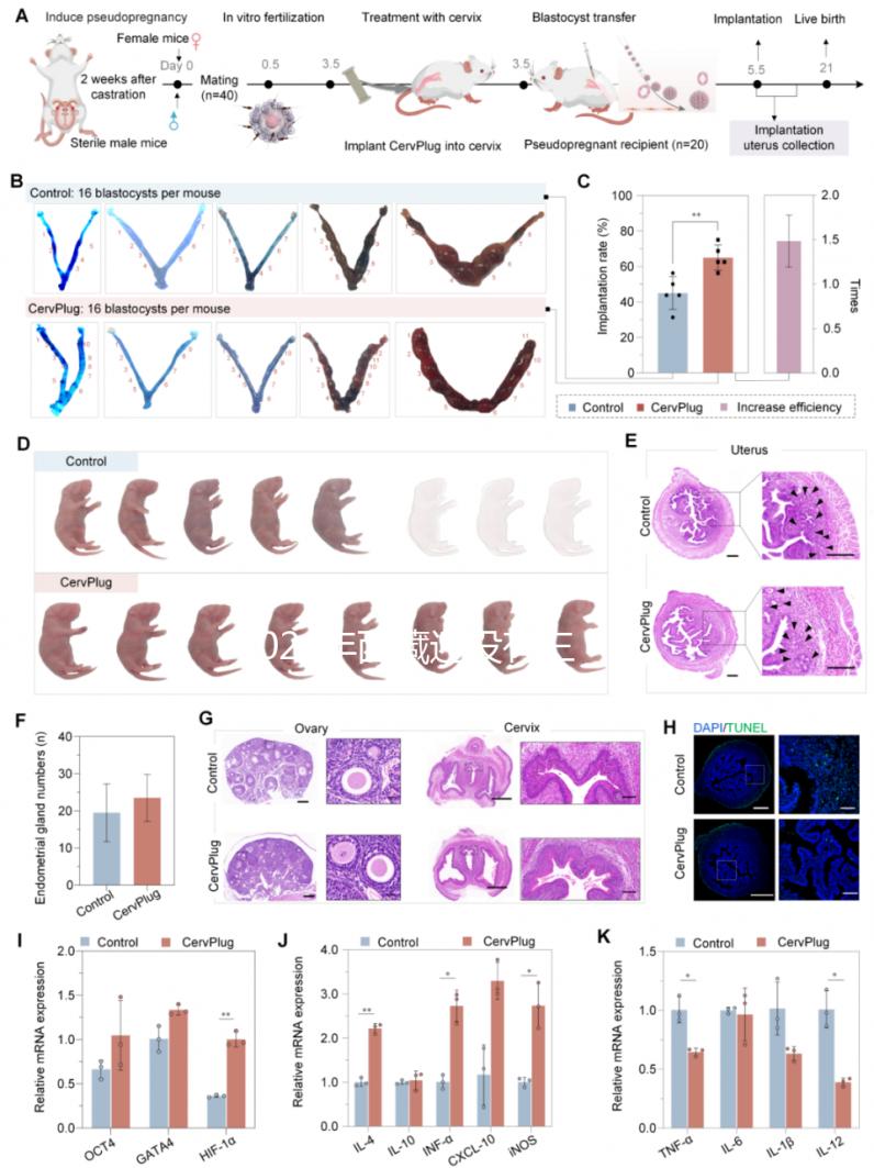 2024年西藏還沒有三代試管嬰兒醫院,那該去哪里做三代呢?