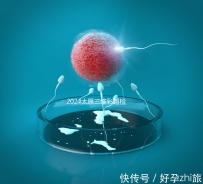 2024太原三維彩超檢查這個數，想做請先預約掛號