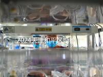 2024天津和平區(qū)婚檢預約并不難！最重要的是找到免費醫(yī)院！