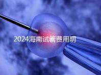 2024海南試管費用明細大公開，錢花哪了一次全講清楚