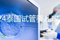 2024泰國試管嬰兒攻略索引:單身，注意人財兩空