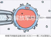2025年解放軍總醫院第七醫學中心做試管嬰兒的費用明細，現在做試管多少錢？