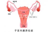 2025昆明三代試管助孕費用一覽，8-15萬元，價格透明公開自主選擇