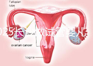 2025長(zhǎng)沙做試管嬰兒貴嗎?一起算算要花多少錢