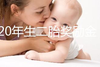 2020年生二胎獎勵金額揭秘，符合條件的媽媽可以領取了！