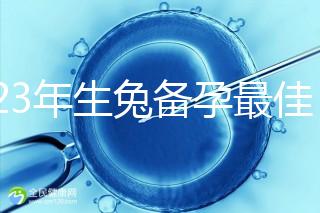 2023年生兔備孕最佳時間表參考，避開十兔九苦月份