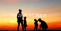 29歲2月懷孕生男孩還是女孩？清宮表2023帶你預測結果