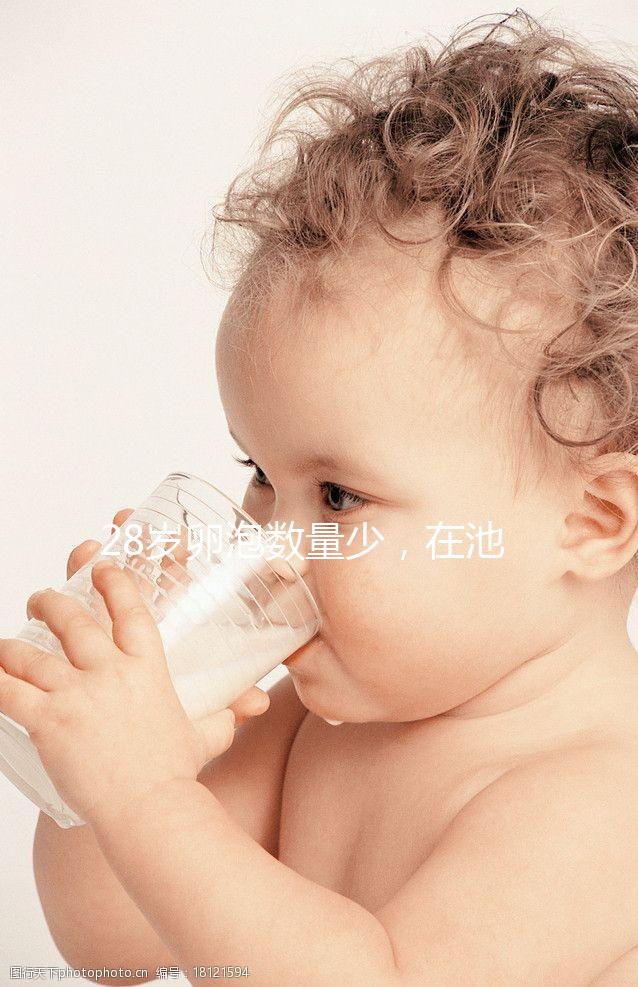 28歲卵泡數(shù)量少，在池州能不能做試管嬰兒？