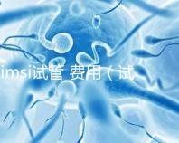 imsi試管 費用（試管imsi是什么意思）