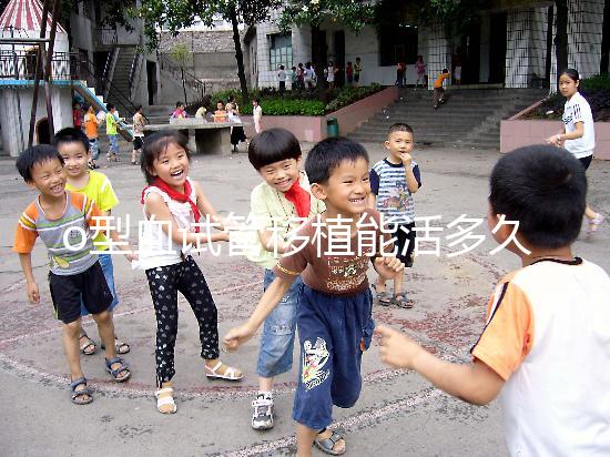 o型血試管移植能活多久？壽命長的關鍵在于這些點